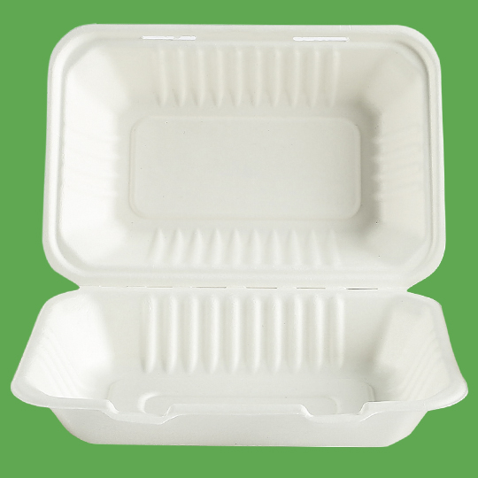 Bagasse Hinged lid 1-comp