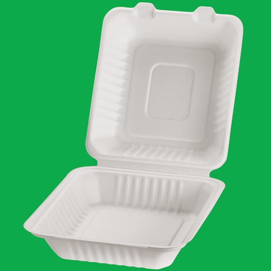 Bagasse Hinged lid 1-comp