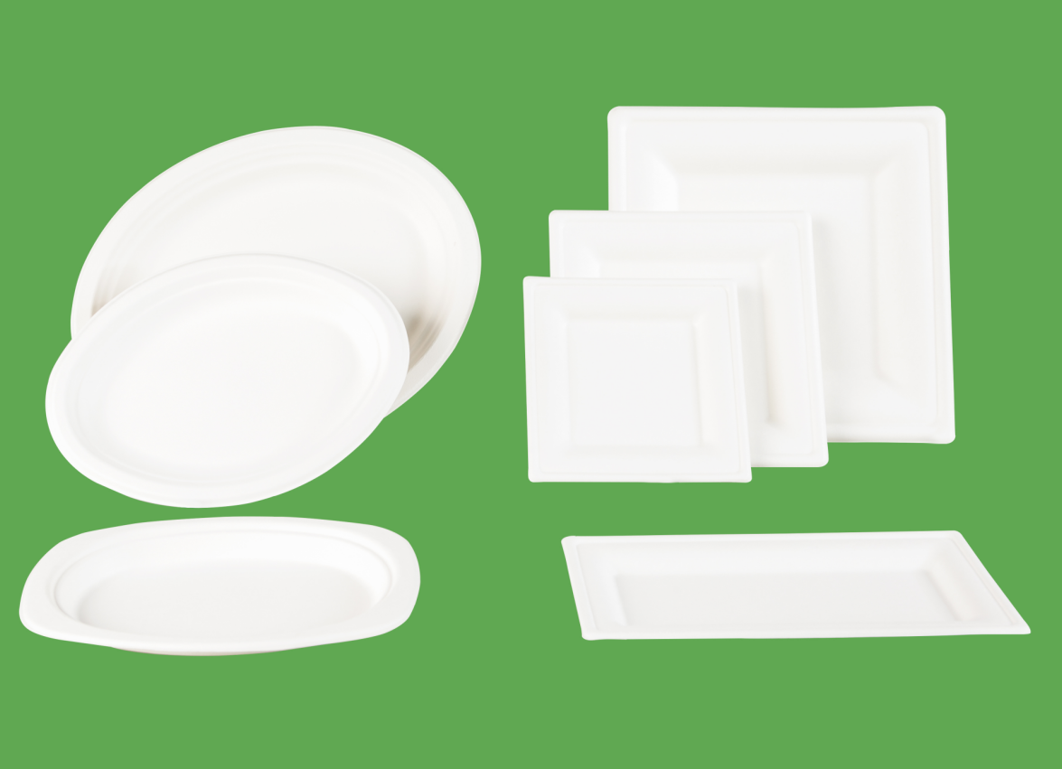 Bagasse/lid